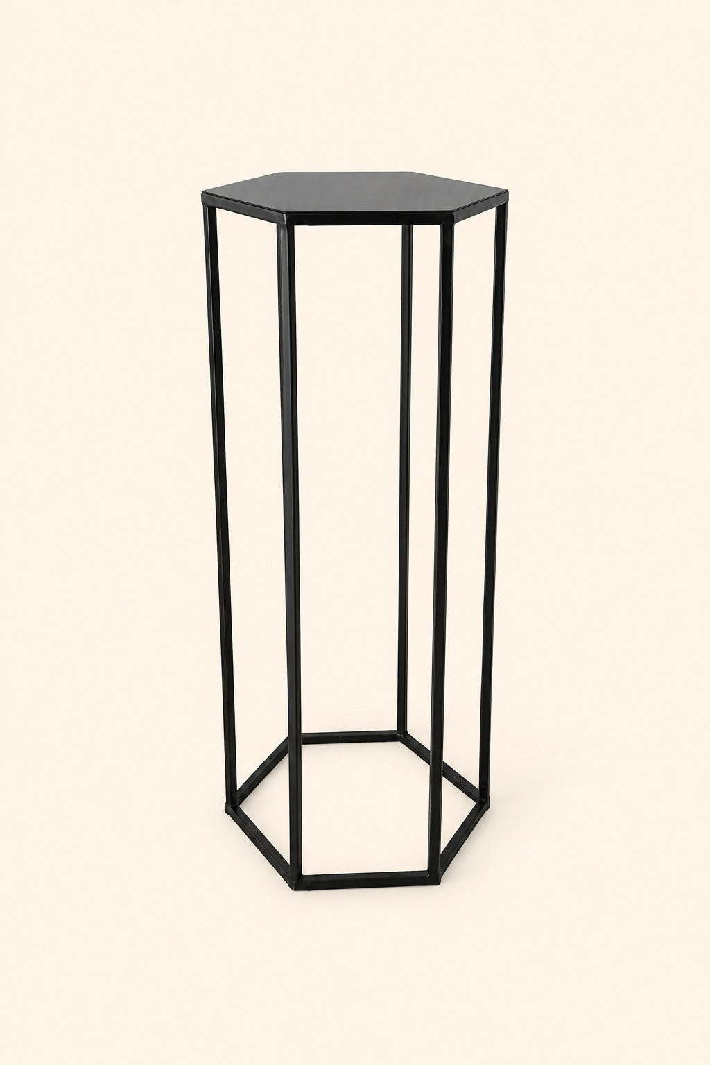 Metalinis gėlių / dekoracijų stovas 70cm