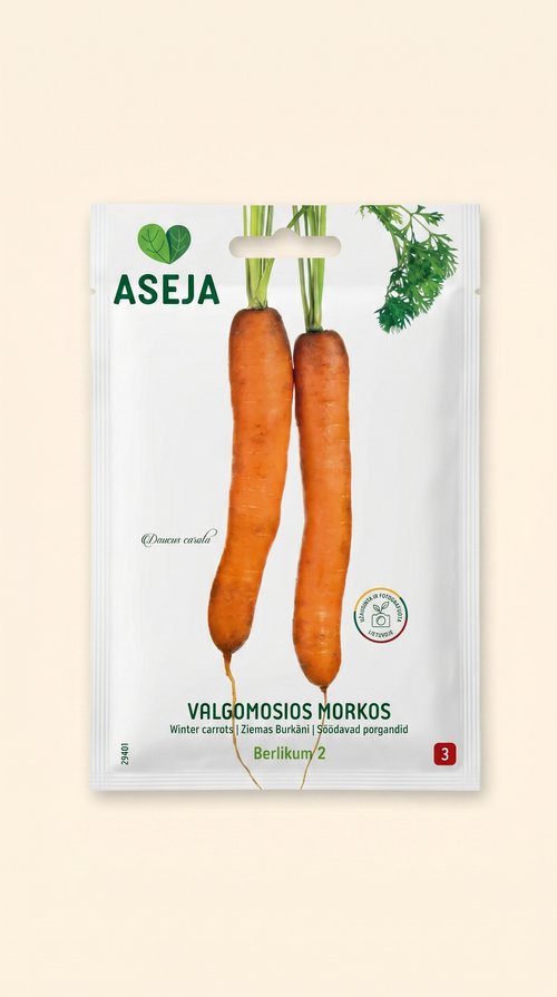 Morkos Berlikum 2